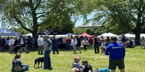 Visitors flood to Fine Art Fair, Maifest - Vimarsana News
